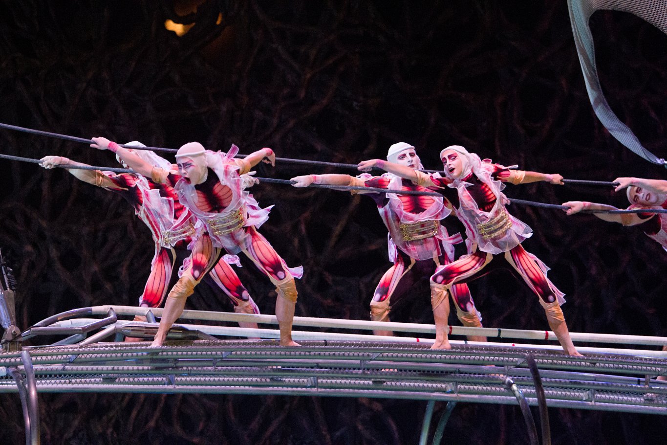 Фото - Cirque du Soleil: Сказочный мир в 3D: 1365x910 / 258 Кб