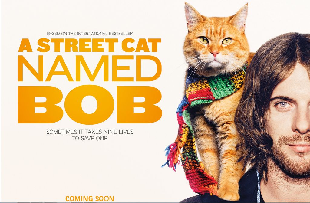 Постер - Уличный кот по кличке Боб: 1024x671 / 119.76 Кб