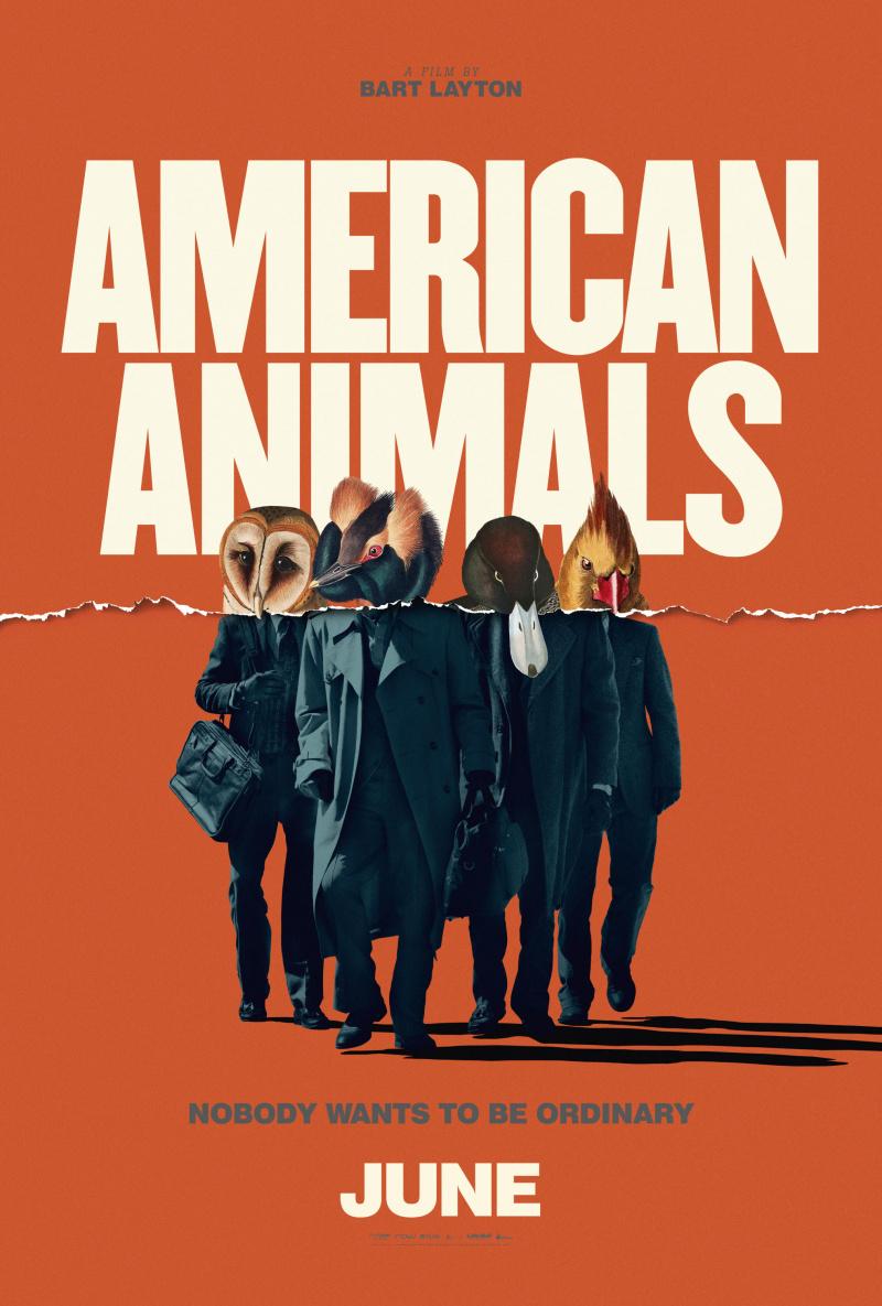 Постер - Американские животные: 800x1185 / 78.96 Кб