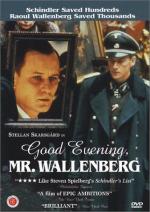 Добрый вечер, Мистер Валленберг