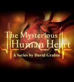 The Mysterious Human Heart