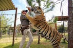 Фото Король тигров: Убийство, хаос и безумие