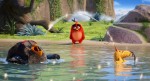 Angry Birds в кино: 850x459 / 135.17 Кб