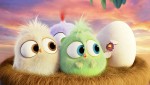 Angry Birds в кино: 1400x787 / 205.17 Кб