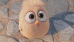 Angry Birds в кино: 850x478 / 91.18 Кб