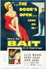 Постер Bait: 800x1202 / 182 Кб