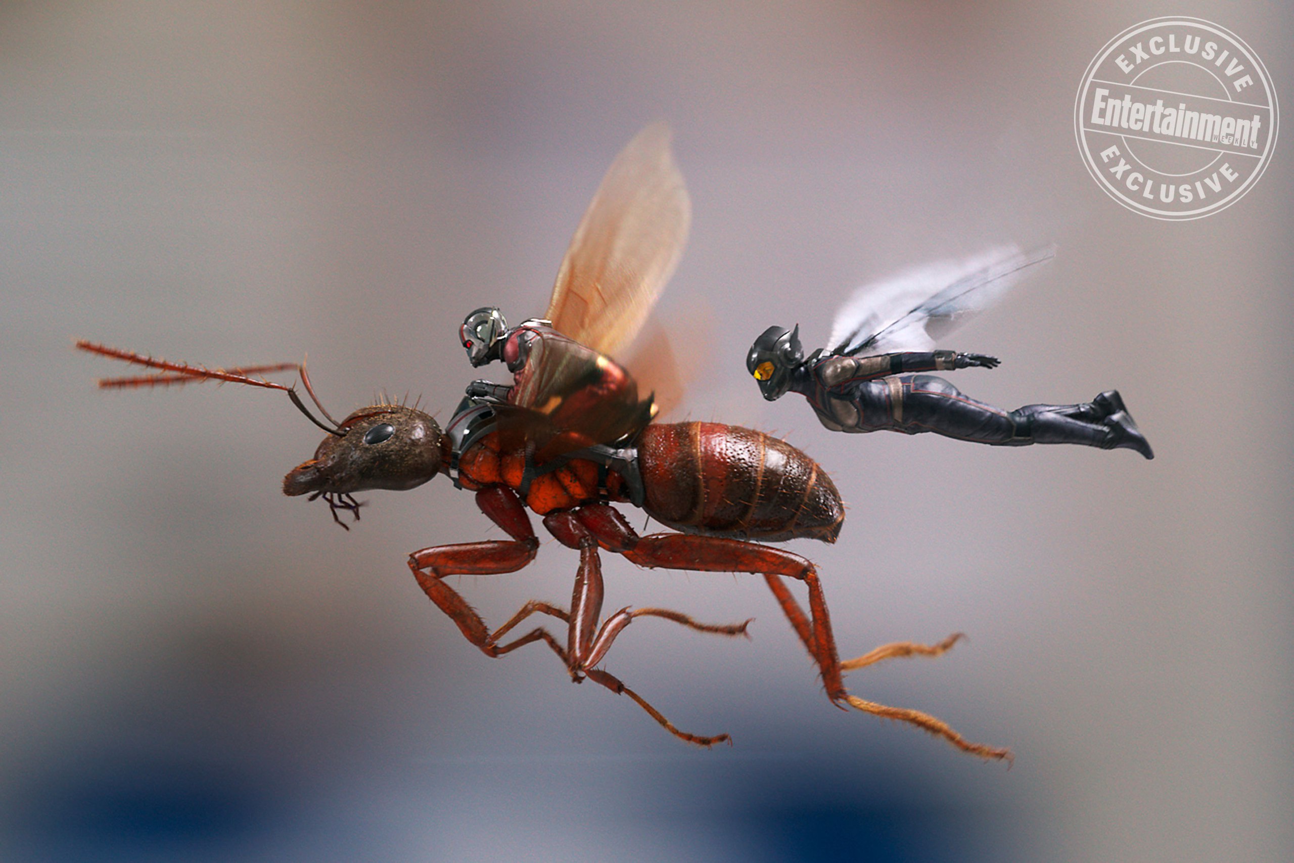 Фото - Человек-муравей и Оса: 2560x1707 / 465.76 Кб