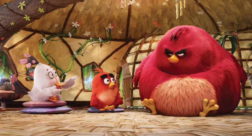 Фото - Angry Birds в кино: 850x459 / 136.72 Кб