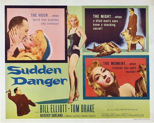 Постер - Sudden Danger: 535x427 / 58 Кб