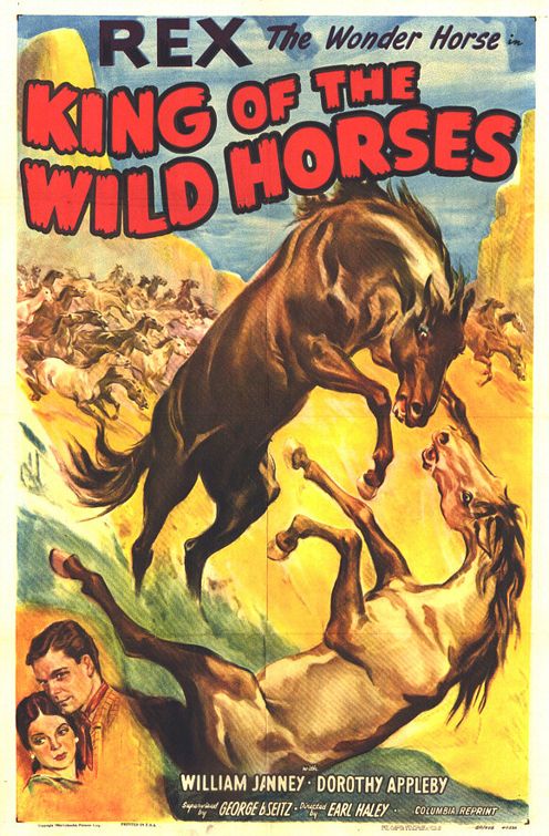 Постер - The King of the Wild Horses: 496x755 / 103 Кб