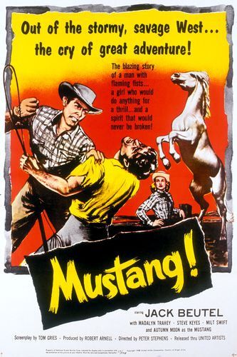 Постер - Mustang!: 333x500 / 52 Кб
