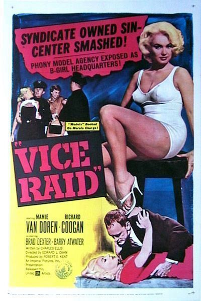 Постер - Vice Raid: 400x598 / 54 Кб