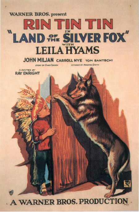 Постер - Land of the Silver Fox: 450x682 / 84 Кб