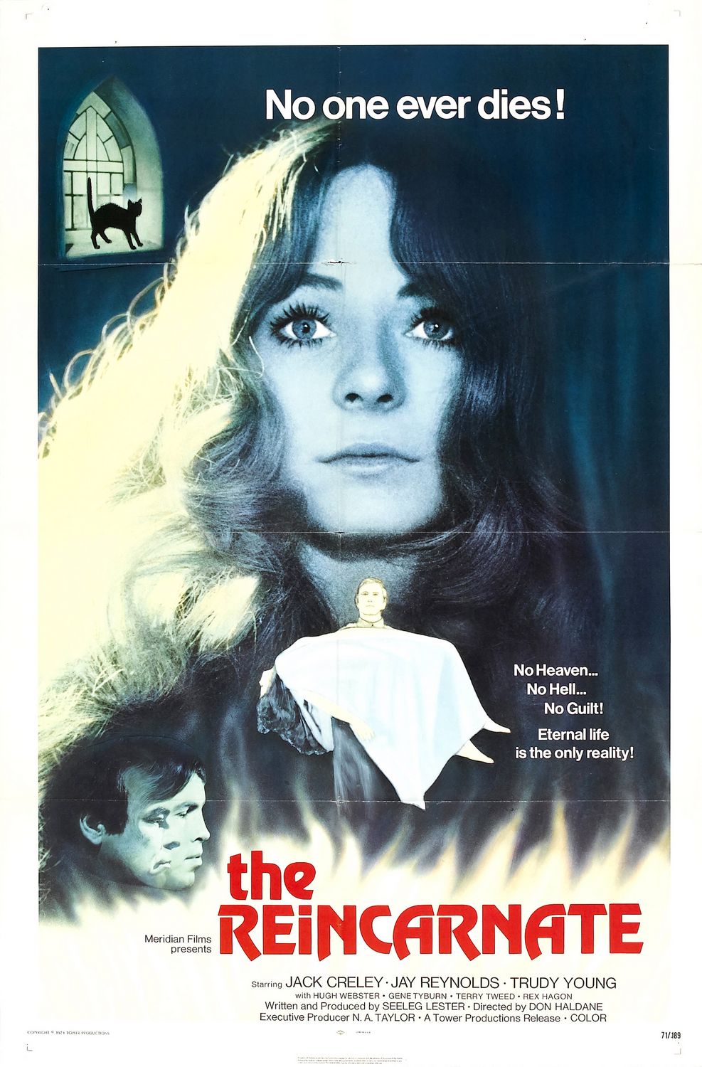 Постер - The Reincarnate: 987x1500 / 216 Кб