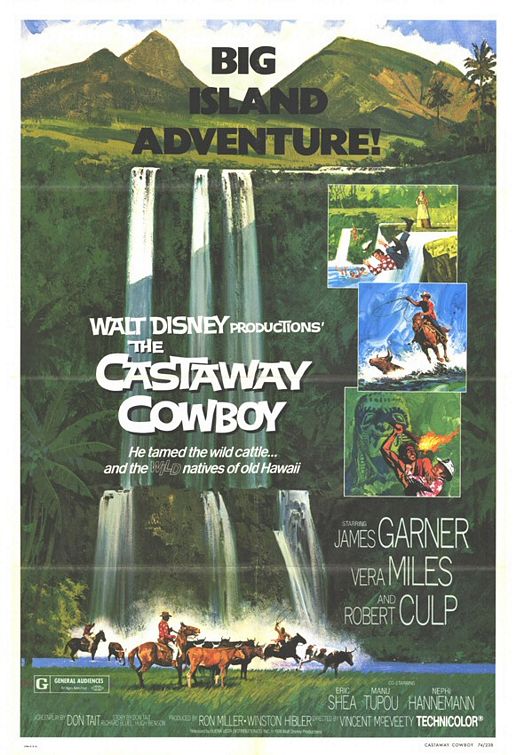 Постер - The Castaway Cowboy: 517x755 / 93 Кб
