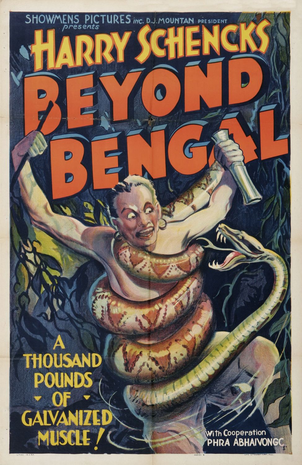 Постер - Beyond Bengal: 975x1500 / 287 Кб