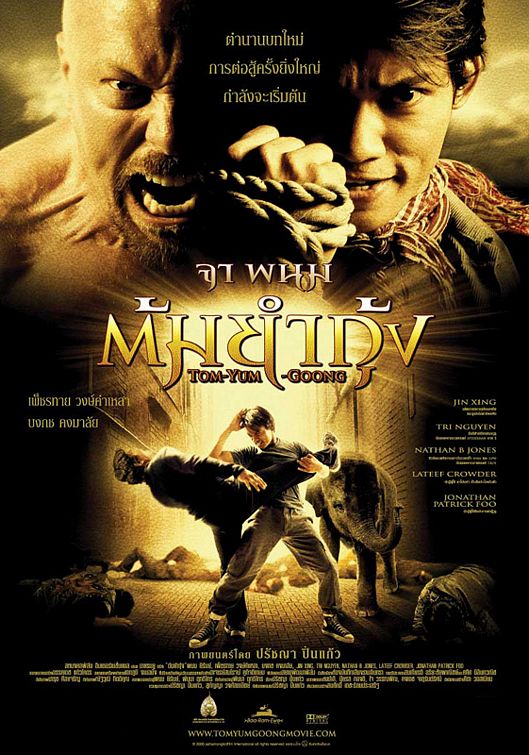 Постер - The Protector: 529x755 / 92 Кб