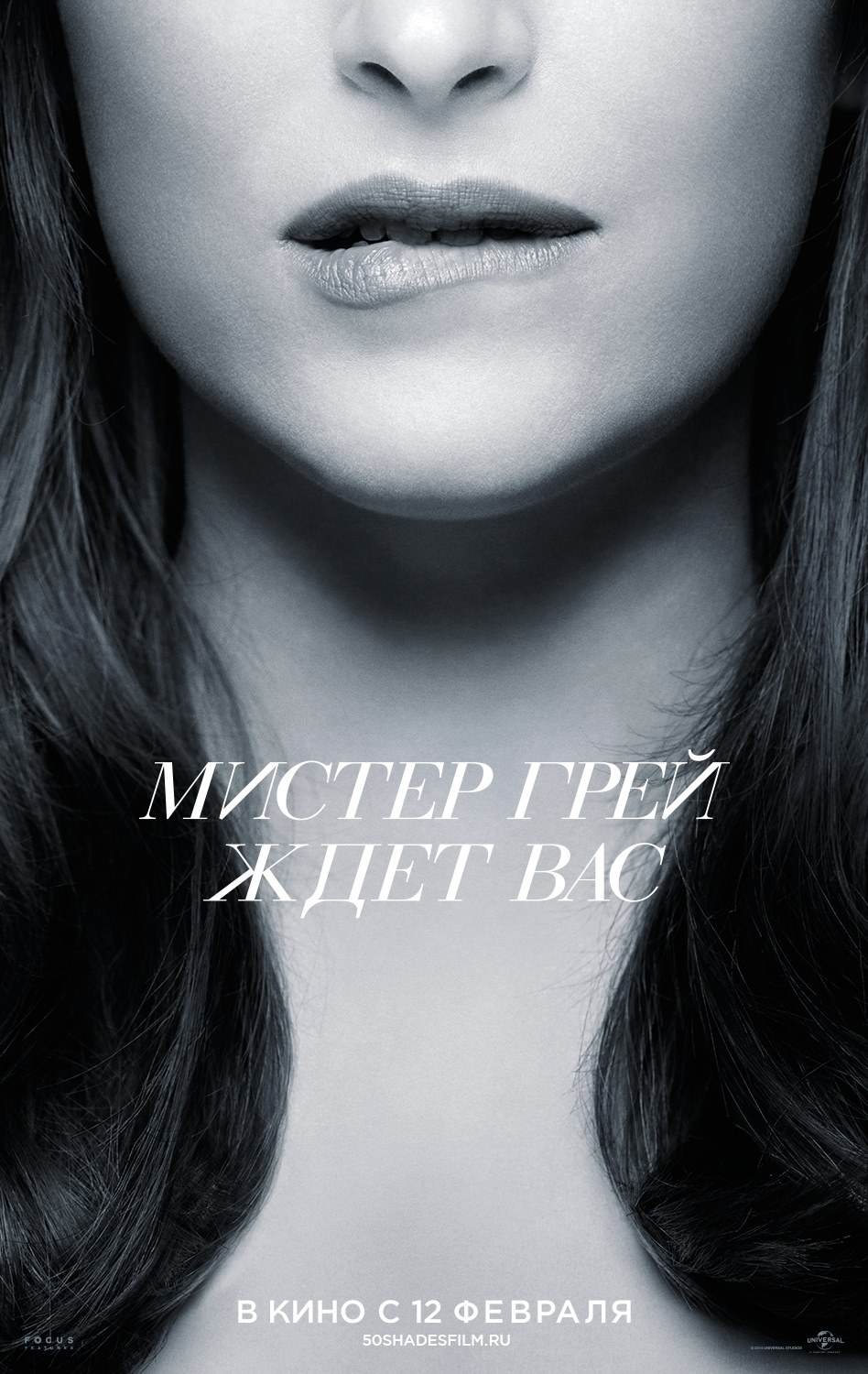 Постер - Пятьдесят оттенков серого: 948x1500 / 261.91 Кб